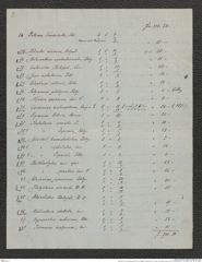 Nachlass Franz Steindachner, Brief und Beilage (Verzeichnis) von Gustav Schneider (senior) an Franz Steindachner (11.08.1882), Inv.Nr. 461.29, Seite 6